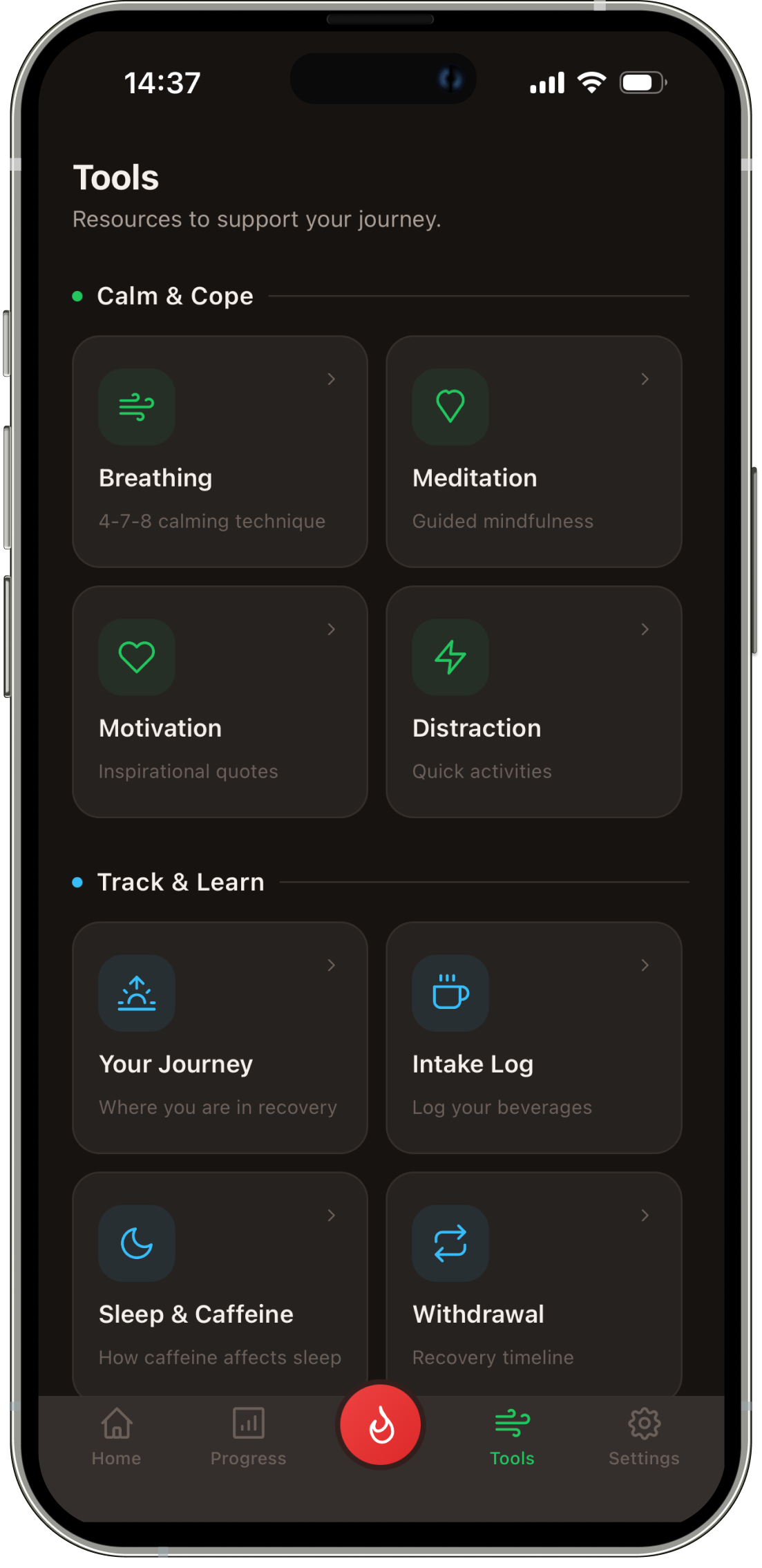 Daily Companion detail